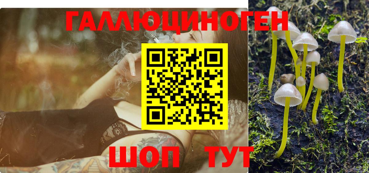 Псилоцибиновые грибы Magic Shrooms  Вход с VPN  Зерноград 