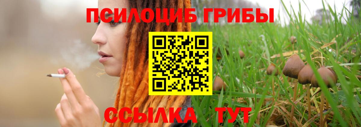 Галлюциногенные грибы мухоморы Зерноград